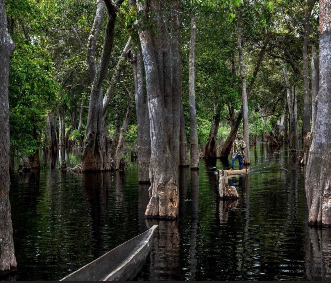 BIODIVERSITE DANS LE MONDE : LES ZONES HUMIDES ,UN PATRIMOINE EXCEPTIONNEL